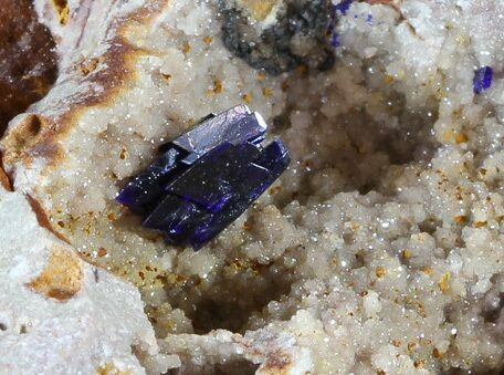 Azurite Crystals Cluster on Quartz - Morocco #49454